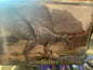 Spinosaurus 1/24th Scale