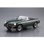 AOSHIMA 1/24 Model Car #102, Blmc G/Hn5D Mg-B Mk-3 '74