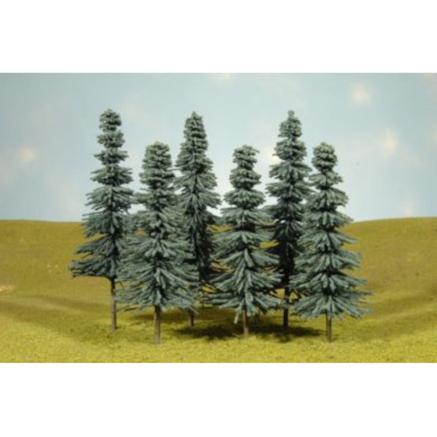 BACHMANN BLUE SPRUCE TREES 8-10"