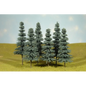 BACHMANN BLUE SPRUCE TREES 8-10"