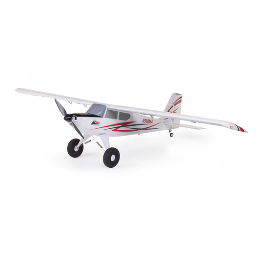 EFLITE 10TH ANNIVERSARY TIMBER RC AIRPLANE