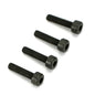 DUB2118 SCREW S/H CAP 2.5MM X 10