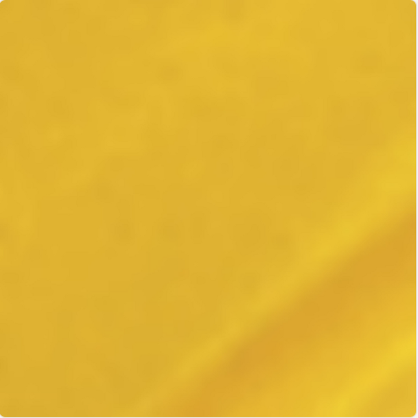 MISSION MODELS GOLD CHROME ACRYLIC PAINT 1 OUNCE