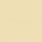 RADOME TAN FS33613