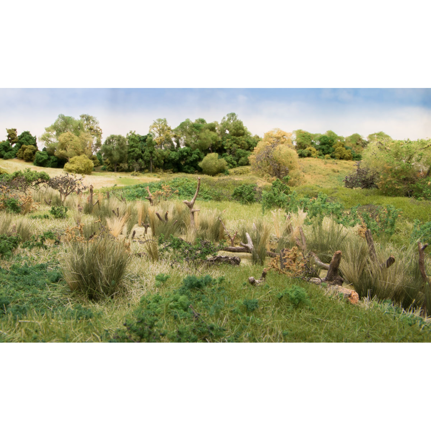 FIELD GRASS LIGHT GREEN